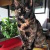tammyt20001